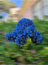 Load image into Gallery viewer, Creepy Crawly Spiders