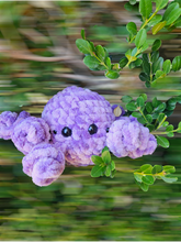 Load image into Gallery viewer, Creepy Crawly Spiders