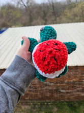 Load image into Gallery viewer, Crochet Watermelon Turtle - Mariposa Rainbow Boutique