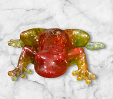 Load image into Gallery viewer, Green and Red Resing Frog - Mariposa Rainbow Boutique
