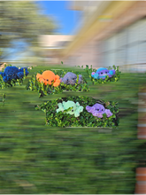 Load image into Gallery viewer, Creepy Crawly Spiders - Mariposa Rainbow Boutique
