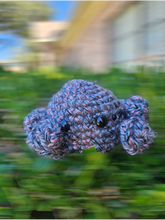 Load image into Gallery viewer, Creepy Crawly Spiders - Mariposa Rainbow Boutique
