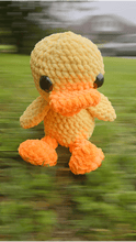 Load image into Gallery viewer, Duck and Mallard - Mariposa Rainbow Boutique
