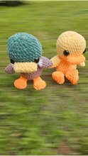 Load image into Gallery viewer, Duck and Mallard - Mariposa Rainbow Boutique
