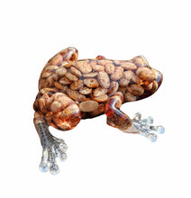 Load image into Gallery viewer, Resin Bean Frog - Mariposa Rainbow Boutique
