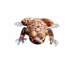 Load image into Gallery viewer, Resin Bean Frog - Mariposa Rainbow Boutique
