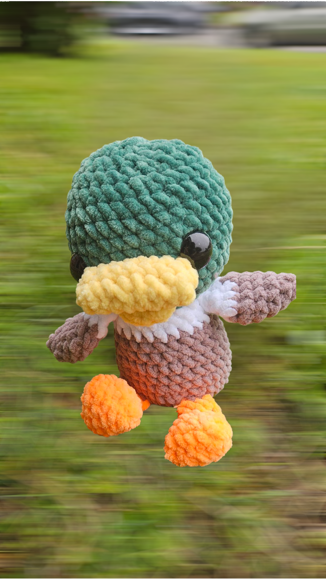 Duck and Mallard