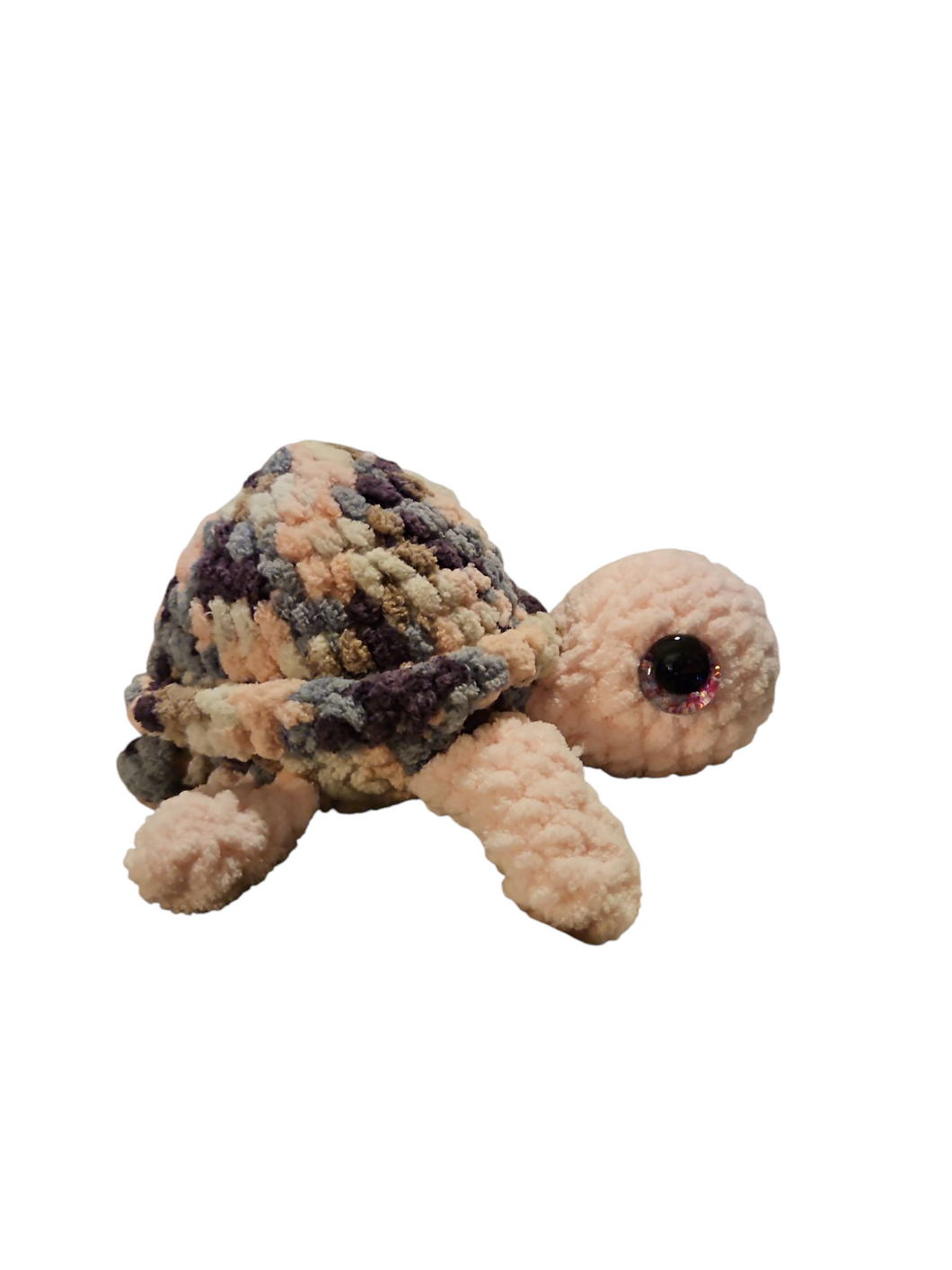 Small turtle