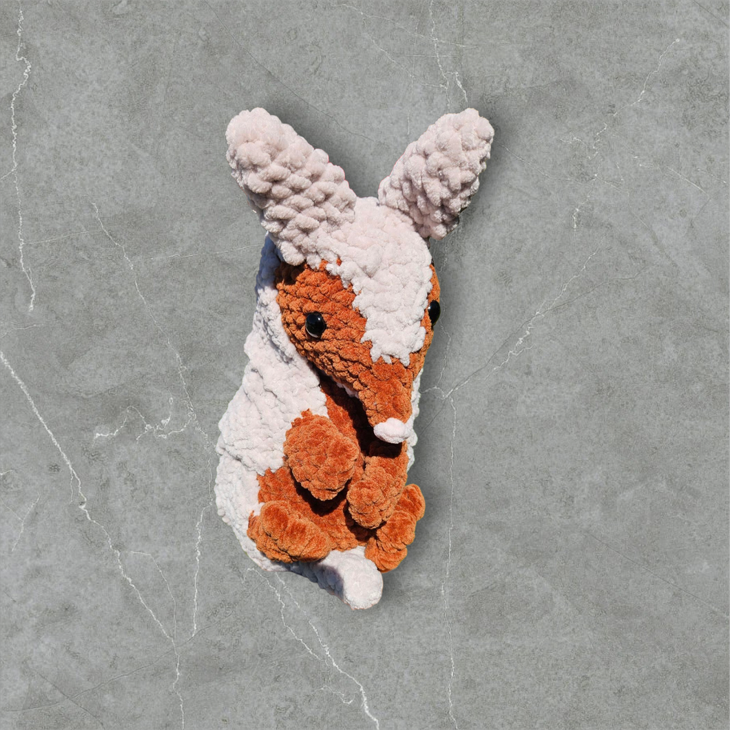 Crochet Armadillos