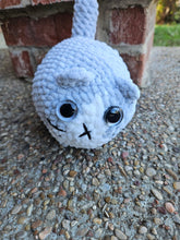 Load image into Gallery viewer, Small Loaf Cats - Mariposa Rainbow Boutique
