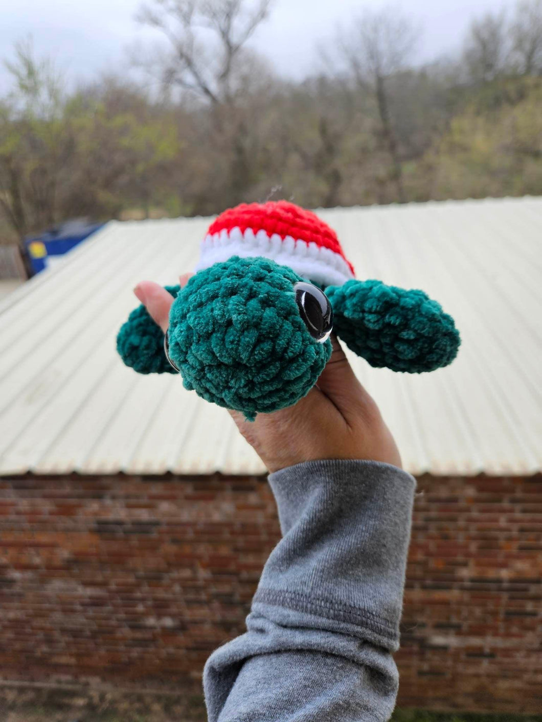 Crochet Watermelon Turtle